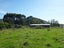297 Kuku Road, KUKU, LEVIN - Carousel 22