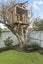17 Kotuku Street, Te Atatu Peninsula, Auckland - Carousel 4
