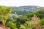 25B Euston Road, Wilton, Wellington - Carousel 9