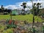 9 Morton Street, Riverton - Carousel 14