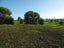77 Day Road, Te Awamutu, Ohaupo - Carousel 7