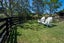 6 Nilgiri Road, Poraiti, Napier - Carousel 11