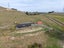 116 Card Road, Morrinsville - Carousel 16