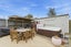 16 Pethig Place, Halswell, Christchurch - Carousel 24
