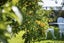 33 Skerman Street, Marton - Carousel 31