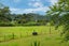 4 Churchouse Road, Greenhithe, Auckland - Carousel 15