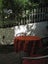59 Reuben Avenue, Brooklyn, Wellington - Carousel 13