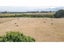 377 Boundary Road, Loburn, Loburn - Carousel 26