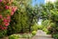 121 Pratts Road, Ramarama, Drury - Carousel 19