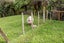 1288 Richmond Road, Everett Park, Inglewood - Carousel 28