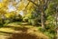 17 Chatham Avenue, Mount Albert, Auckland - Carousel 20