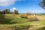 673 HETHERINGTON ROAD, Rotongaro, Waikato, Waikato - Carousel 20