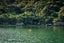 0 Miro Bay, North West Bay, TENNYSON INLET - Carousel 34