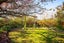 32 Pages Road, Marchwiel, Timaru - Carousel 43