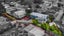 24A McLennan Road, Mount Wellington, Auckland - Carousel 19