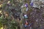 7 Mead Lane, Horopito, Raetihi - Carousel 25