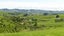 361 Martin Road, Waerenga - Carousel 10