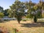 14 Aston Street, Springlands, Blenheim - Carousel 24