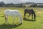 576 Brighton Road, Westwood, Dunedin - Carousel 29