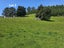38 Taieri Beach Road, TAIERI BEACH, TAIERI MOUTH - Carousel 7