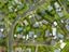 29A Matai Street, Waiuku, Waiuku - Carousel 18