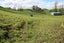 1289 Ahuroa Road, Makarau, Warkworth - Carousel 14