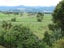 451 Kuku Beach Road, Kuku, Levin - Carousel 3