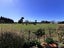 819 Matamau Ormondville Road, Dannevirke - Carousel 35