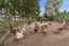 7 Kingsley Drive, Ngongotaha, Rotorua - Carousel 3