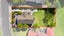 55 Vintage Drive, Henderson, Auckland - Carousel 18