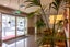 512/188 Hobson Street, City Centre, Auckland City, Auckland - Carousel 6