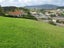 24 Cable Bay Block Road, Cable Bay - Carousel 4