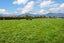 708 Waghorn Road, Waharoa - Carousel 38
