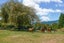 172 Dalbeth Road, Hamurana, Rotorua - Carousel 35