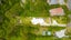 106 Candia Road, Henderson Valley, Auckland - Carousel 5