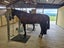 475 Ellesmere Road, Christchurch - Carousel 8