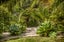 124 Maui Pomare Road, Nikau Valley, Paraparaumu - Carousel 35