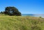 6944 State Highway 35, Te Kaha, Te Kaha - Carousel 6