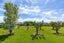 56 Thomsons Ford Road, Thomsons Ford, Blenheim - Carousel 29