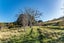 129 Bells Road, Takamatua, Akaroa - Carousel 11