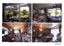 140 Woodlands Park Road, Titirangi, Auckland - Carousel 4
