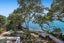 5 Kitchener Road, Takapuna, Auckland - Carousel 14