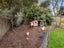 25 Farringdon Avenue, Rototuna North, Hamilton - Carousel 22