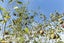 6388A South Road, Pungarehu, Opunake - Carousel 26