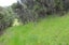 0 Bute Rd, Mangapakeha, Masterton - Carousel 8