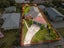 90 Teesdale Street, Burnside, Christchurch - Carousel 29