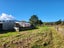 406 Taylorville Road, Coal Creek, Greymouth - Carousel 20
