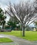 20 Anderson Road, Waiwera South - Carousel 30