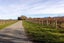28 Old Renwick Road, Thomsons Ford, Blenheim - Carousel 13