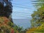 11 Otitori Bay Road, Titirangi, Auckland - Carousel 6